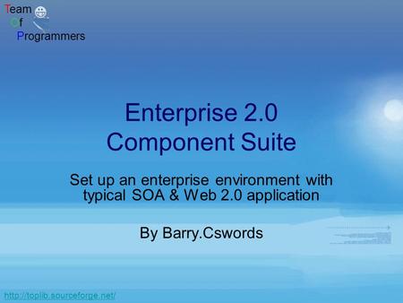 Team Of Programmers  Enterprise 2.0 Component Suite Set up an enterprise environment with typical SOA & Web 2.0 application.