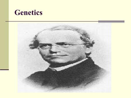 Genetics. Mendel’s Laws of Heredity Heredity Traits allele.