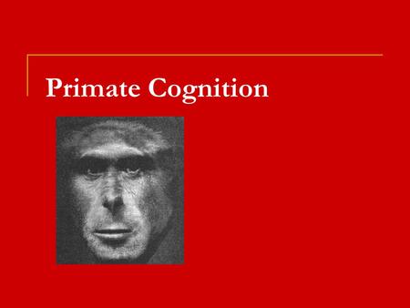 Primate Cognition. Social Learning Mechanisms  Mechanisms  Stimulus or Social Enhancement (instrumental)  Drawn to object/conspecific, learn via trial.