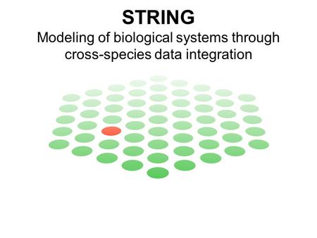 STRING Modeling of biological systems through cross-species data integration.