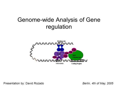 Genome-wide Analysis of Gene regulation Berlin, 4th of May, 2005Presentation by: David Rozado.