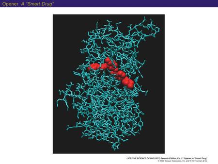 Opener A “Smart Drug”. Figure 17.1 One Gene, One Enzyme (Part 1)