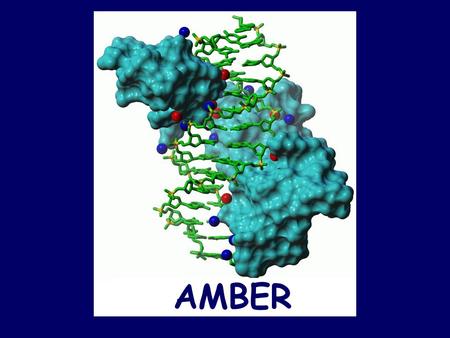AMBER. AMBER 7 What is AMBER? –A collective name for a suite of programs that allow users to carry out molecular dynamic simulations. –And a set of molecular.