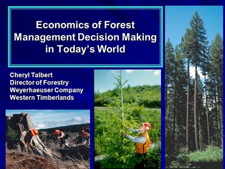 Economics of Forest Management Decision Making in Today’s World Cheryl Talbert Director of Forestry Weyerhaeuser Company Western Timberlands.