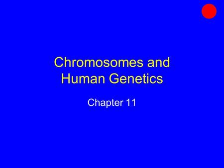 Chromosomes and Human Genetics Chapter 11. Genes Units of information about heritable traits In eukaryotes, distributed among chromosomes Each has a particular.