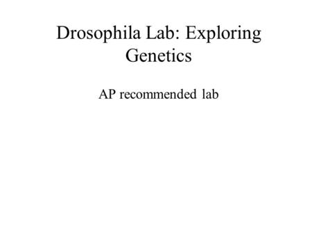 Drosophila Lab: Exploring Genetics