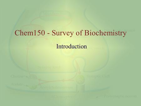 Chem150 - Survey of Biochemistry Introduction. Chem150, University of Wisconsin-Eau Claire Introduction 2 Introduction The chemistry we will focus on.