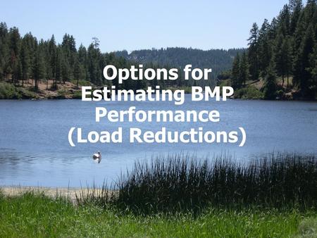 1 Options for Estimating BMP Performance (Load Reductions)