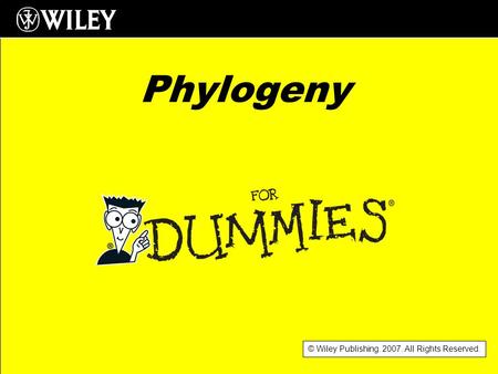 © Wiley Publishing. 2007. All Rights Reserved. Phylogeny.