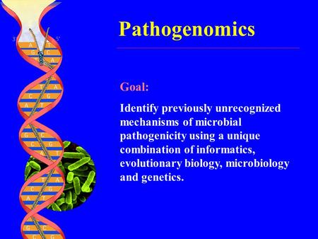 Pathogenomics Goal: Identify previously unrecognized mechanisms of microbial pathogenicity using a unique combination of informatics, evolutionary biology,
