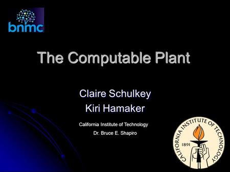The Computable Plant Claire Schulkey Kiri Hamaker California Institute of Technology Dr. Bruce E. Shapiro.