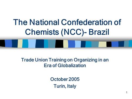 1 The National Confederation of Chemists (NCC)- Brazil Trade Union Training on Organizing in an Era of Globalization October 2005 Turin, Italy.