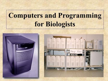 Computers and Programming for Biologists. What is Bioinformatics? The use of information technology to collect, analyze, and interpret biological data.