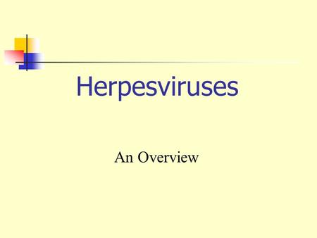 Herpesviruses An Overview.