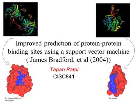 Improved prediction of protein-protein binding sites using a support vector machine ( James Bradford, et al (2004)) Tapan Patel CISC841 Trypsin (and inhibitor.