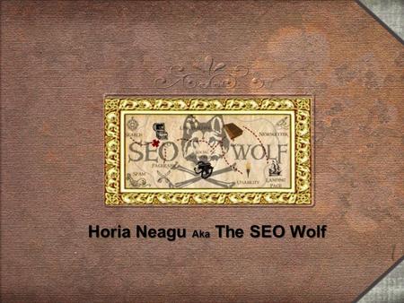Horia Neagu Aka The SEO Wolf. Fictiv CorsarPirat.