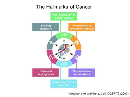 The Hallmarks of Cancer Hanahan and Weinberg, Cell 100:57-70 (2000)