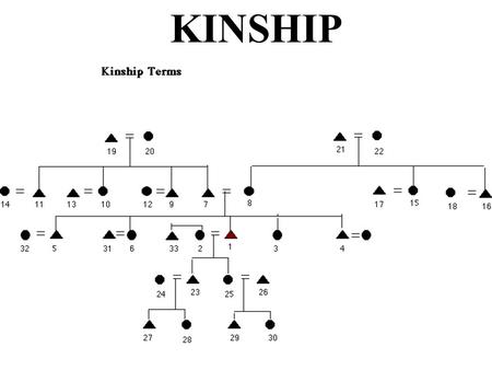 KINSHIP.