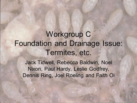 Workgroup C Foundation and Drainage Issue: Termites, etc. Jack Tidwell, Rebecca Baldwin, Noel Nixon, Paul Hardy, Leslie Godfrey, Dennis Ring, Joel Roeling.