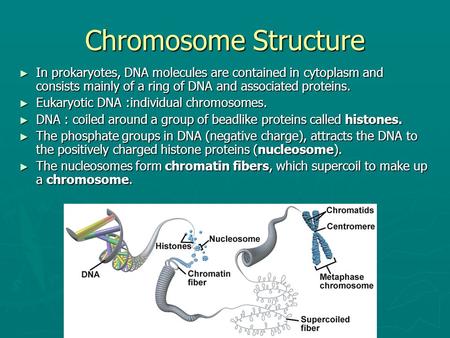 Chromosome Structure In prokaryotes, DNA molecules are contained in cytoplasm and consists mainly of a ring of DNA and associated proteins. Eukaryotic.