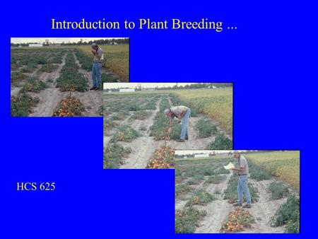 Introduction to Plant Breeding... HCS 625. Outline: What is plant breeding? Human population growth, agricultural production, and environmental impacts.