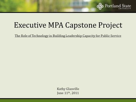 The Role of Technology in Building Leadership Capacity for Public Service Kathy Glanville June 11 th, 2011 Executive MPA Capstone Project.