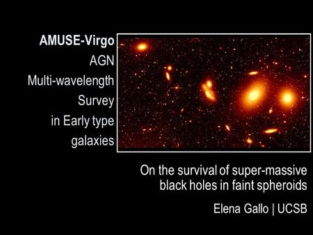 AMUSE-Virgo AGN Multi-wavelength Survey in Early type galaxies On the survival of super-massive black holes in faint spheroids Elena Gallo | UCSB.