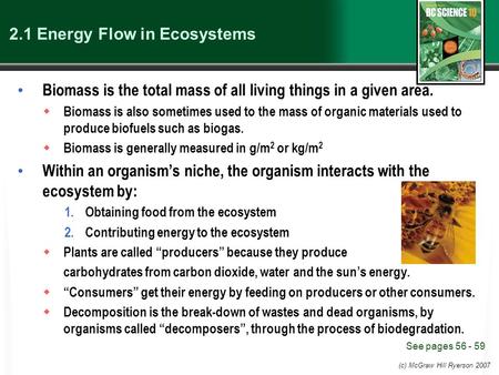 2.1 Energy Flow in Ecosystems