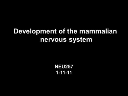 Development of the mammalian nervous system NEU257 1-11-11.