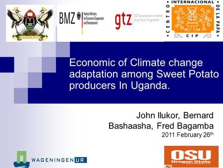Economic of Climate change adaptation among Sweet Potato producers In Uganda. John Ilukor, Bernard Bashaasha, Fred Bagamba 2011 February 26 th.
