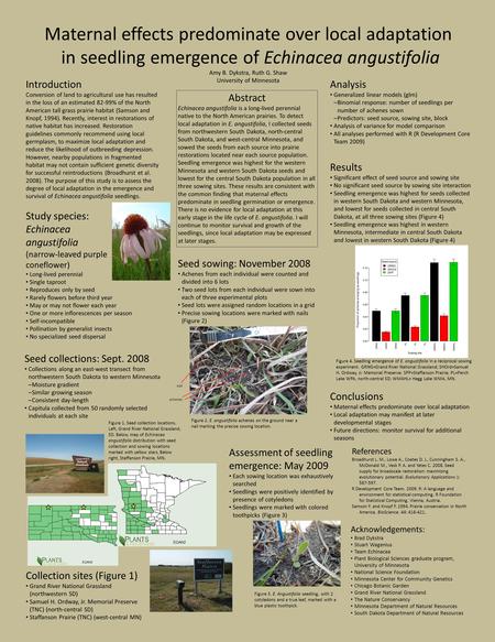Maternal effects predominate over local adaptation in seedling emergence of Echinacea angustifolia Amy B. Dykstra, Ruth G. Shaw University of Minnesota.