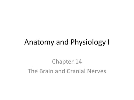 Anatomy and Physiology I Chapter 14 The Brain and Cranial Nerves.