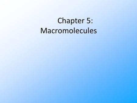 Chapter 5: Macromolecules