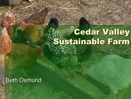 Cedar Valley Sustainable Farm Beth Osmund. Operating an Innovative & Adaptable Small Scale Farm A Producer’s Story.