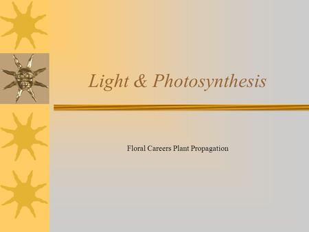 Floral Careers Plant Propagation Light & Photosynthesis.
