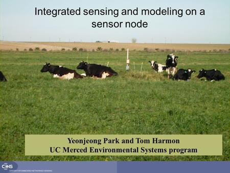 Integrated sensing and modeling on a sensor node Yeonjeong Park and Tom Harmon UC Merced Environmental Systems program.