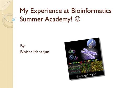 My Experience at Bioinformatics Summer Academy! My Experience at Bioinformatics Summer Academy! By: Binisha Maharjan.