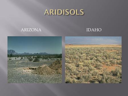ARIZONA IDAHO. Typical Environments:  Arid or dry desert regions  Western United States  Australia  Argentina  Portions of Africa  Middle East 