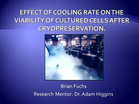 Brian Fuchs Research Mentor: Dr. Adam Higgins