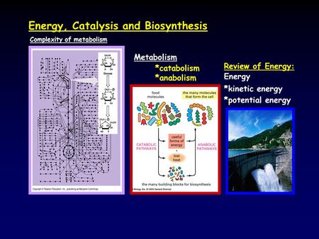 Energy, Catalysis and Biosynthesis Metabolism *catabolism *anabolism Complexity of metabolism Review of Energy: Energy *kinetic energy *potential energy.