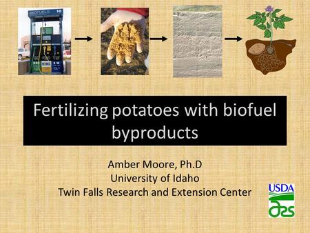 Fertilizing potatoes with biofuel byproducts Amber Moore, Ph.D University of Idaho Twin Falls Research and Extension Center.
