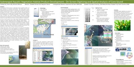 Submerged Aquatic Vegetation Habitat Product Development: On-Screen Digitizing and Spatial Analysis of Core Sound Chelsea Vick, Patrina Bly, Michael JeffersonMentors: