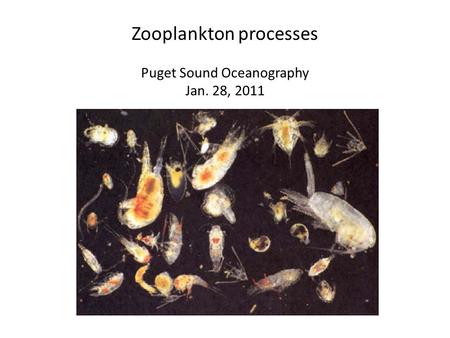 Zooplankton processes Puget Sound Oceanography Jan. 28, 2011.