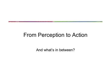 From Perception to Action And what’s in between?.