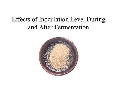 Effects of Inoculation Level During and After Fermentation.