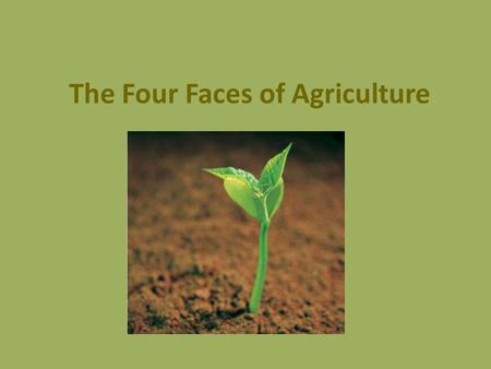 The Four Faces of Agriculture. Food System All the steps it takes to get food from farm to table. These steps include: 1. Production (on the farm) 2.