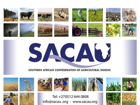 FINANCING AGRICULTURE IN SOUTHERN AFRICA: SETTING THE SCENE Ishmael D. Sunga ( CEO- SACAU) CTA/SACAU Regional Development Briefing on “Financing Agriculture.
