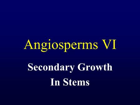 Secondary Growth In Stems
