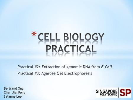 Practical #2: Extraction of genomic DNA from E.Coli Practical #3: Agarose Gel Electrophoresis Bertrand Ong Chan JianPeng Salanne Lee.