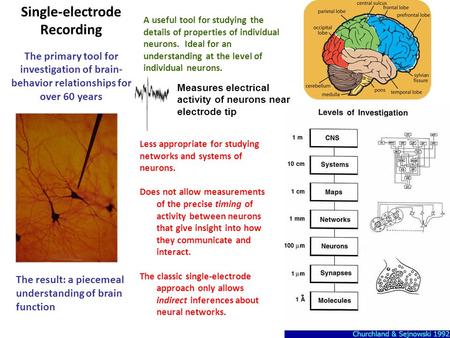 Measures electrical activity of neurons near electrode tip Single-electrode Recording The primary tool for investigation of brain- behavior relationships.